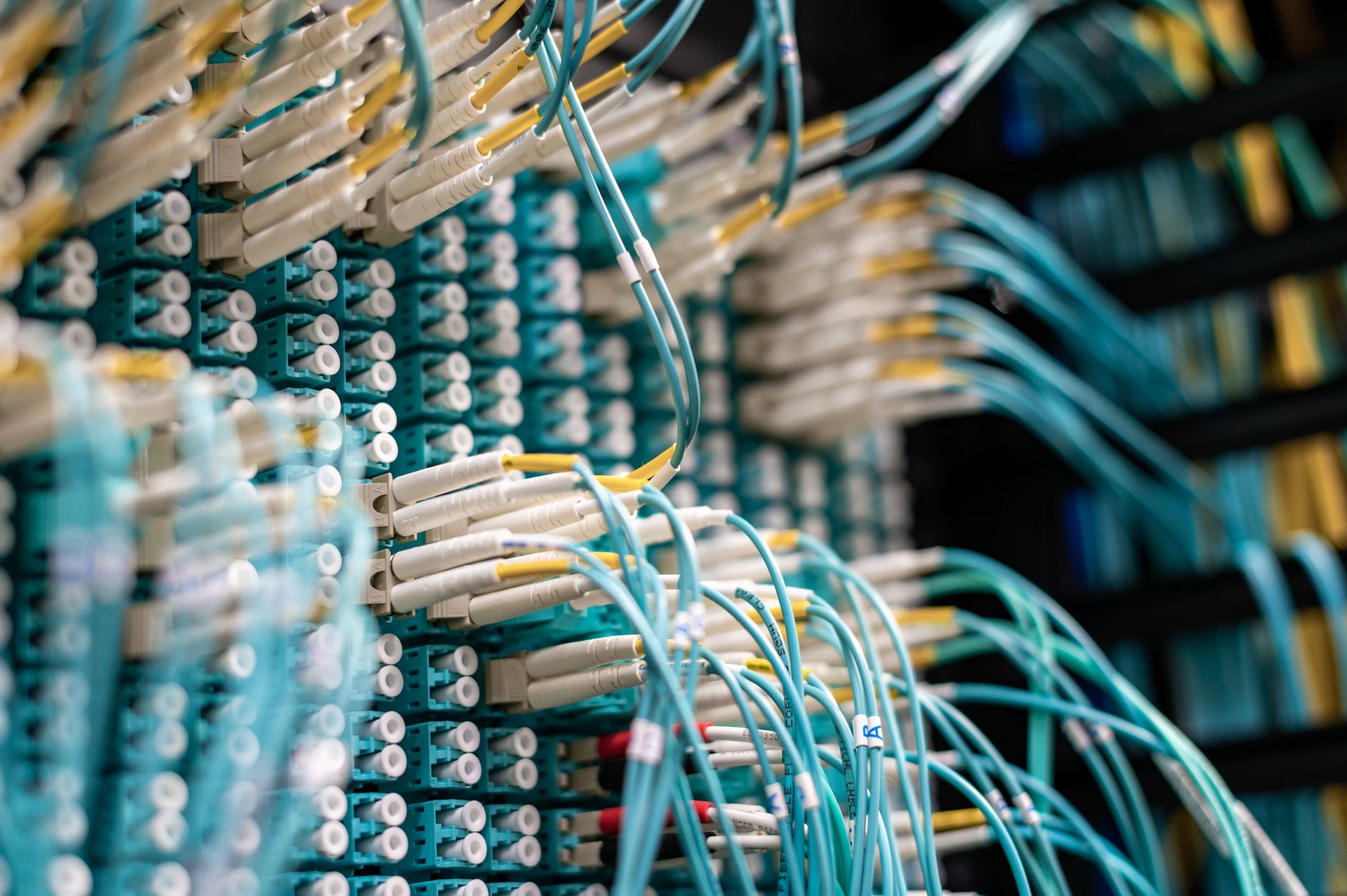 patch cables plugged in patch panel